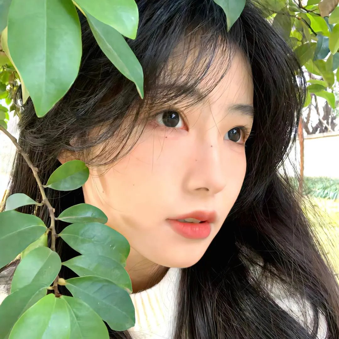 粉红色火烈鸟